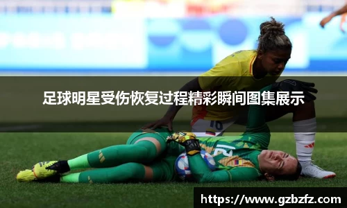 星空.综合体育官网