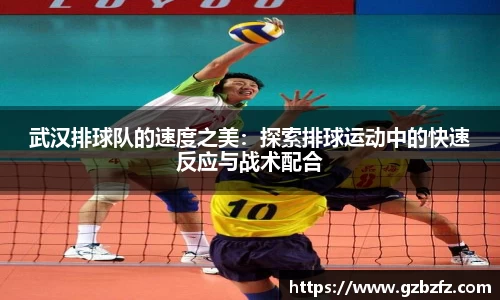 星空综合(中国)官方网站